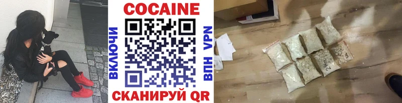 Cocaine FishScale  наркошоп  Кяхта 