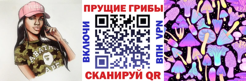 как найти закладки  Кяхта  Галлюциногенные грибы Psilocybine cubensis 